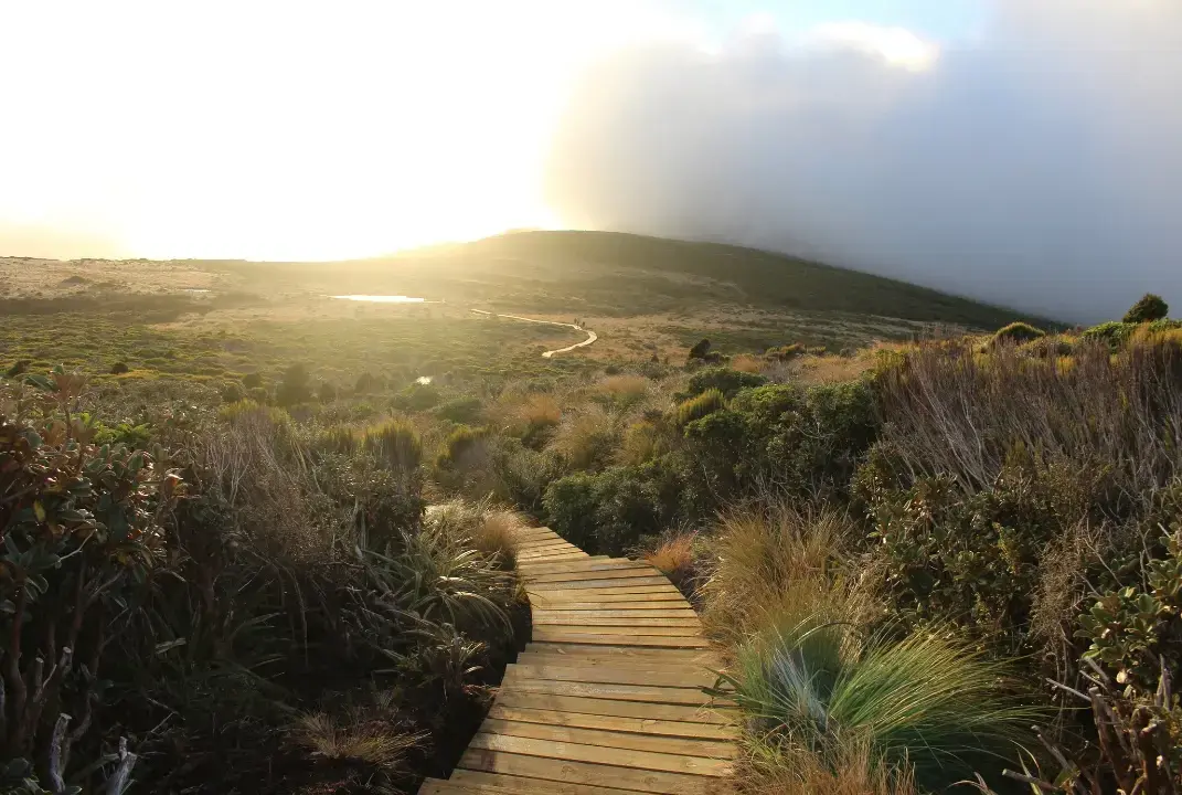 Run the Pouakai Crossing